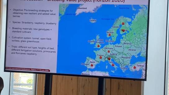 Presentation of BreedingValue at AIIA 2024 conference
