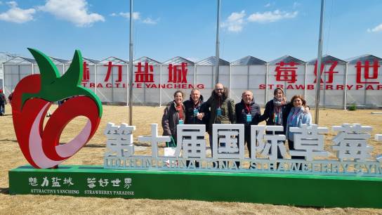 BreedingValue partners at 10th International Strawberry Symposium