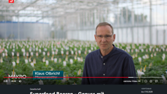 German language documentary "Superfood Berries" featuring BreedingValue partner Hansbred and team leader Klaus Olbricht.