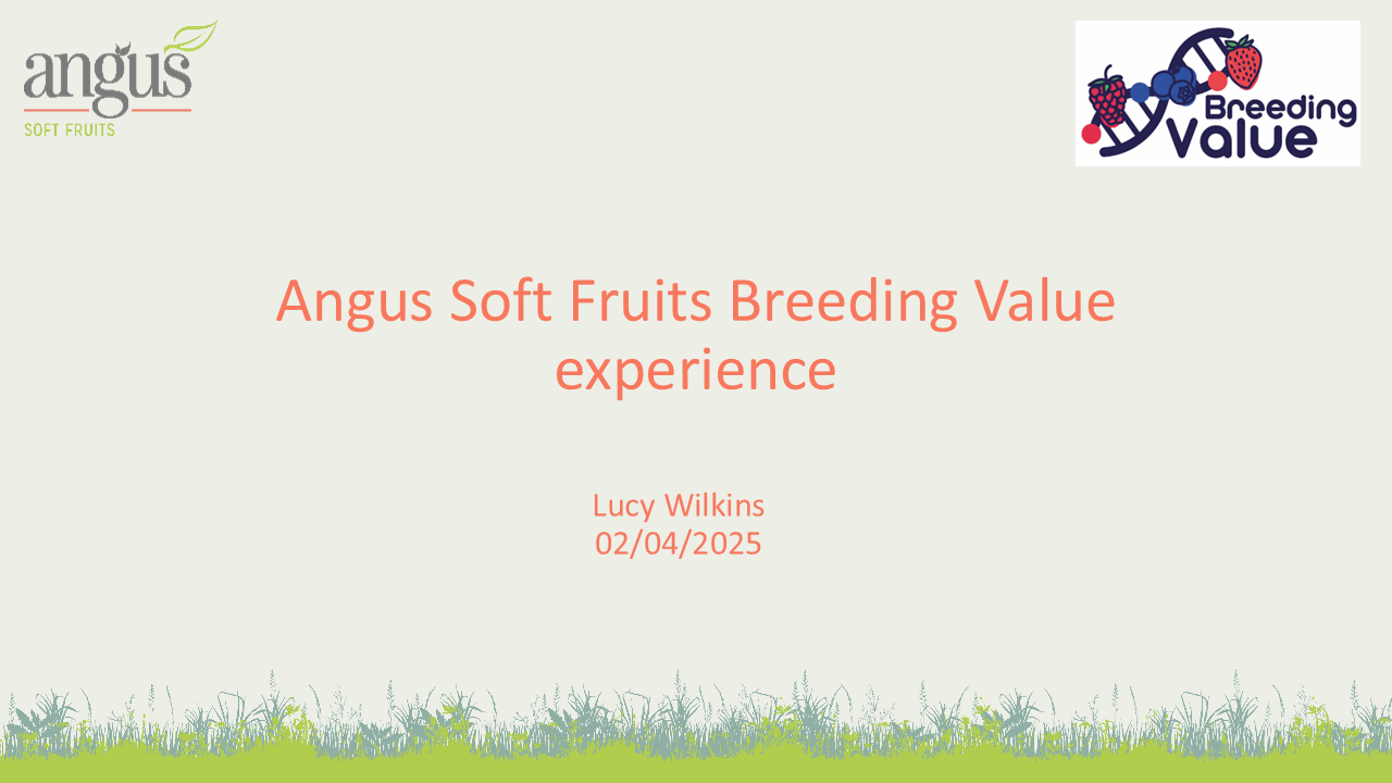 BreedingValue_Final-Workshop_Angus Soft Fruits