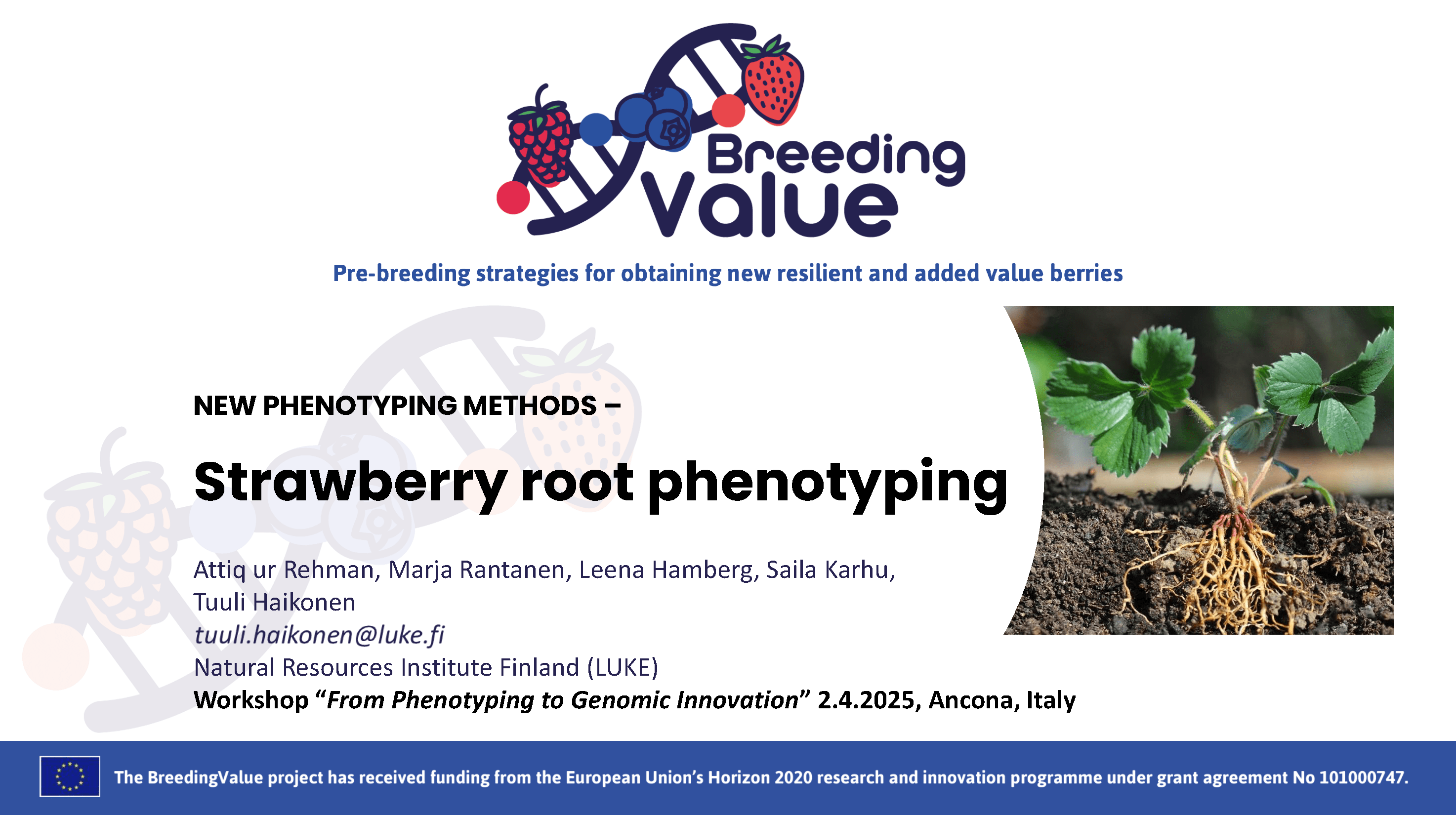 BreedingValue_Final Workshop_Haikonen