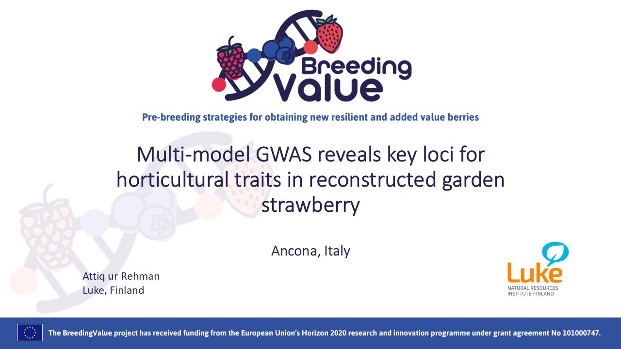 BreedingValue_Final Workshop_Attiq ur Rehman