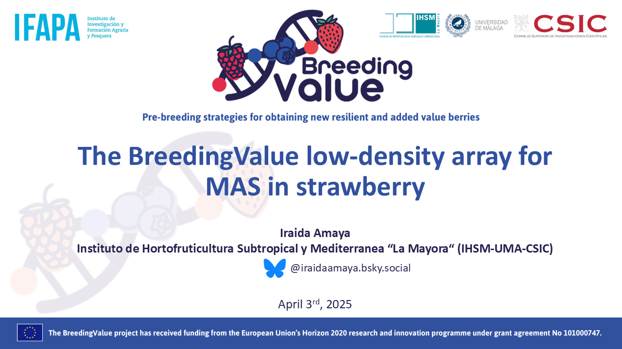 BreedingValue_Final Workshop_Amaya_Fluidigm Array