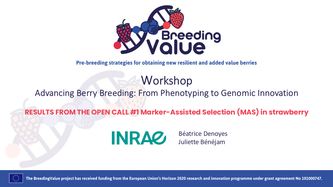 BreedingValue_Final Workshop_OpenCall1_Juliette Benejam