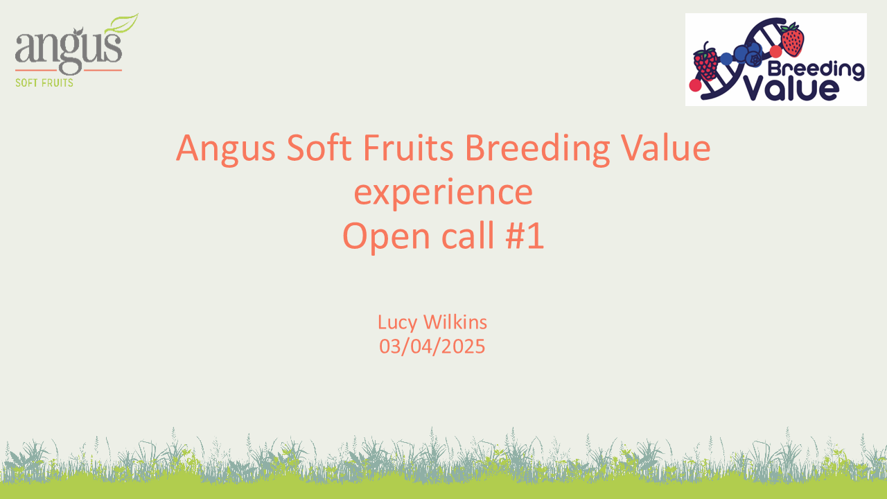 BreedingValue_Final Workshop_Open Call1_Angus Soft Fruits
